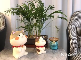 ️ZHOULIU周六️