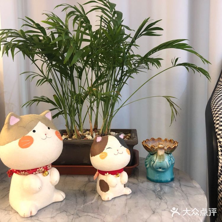☘️ZHOULIU周六☘️