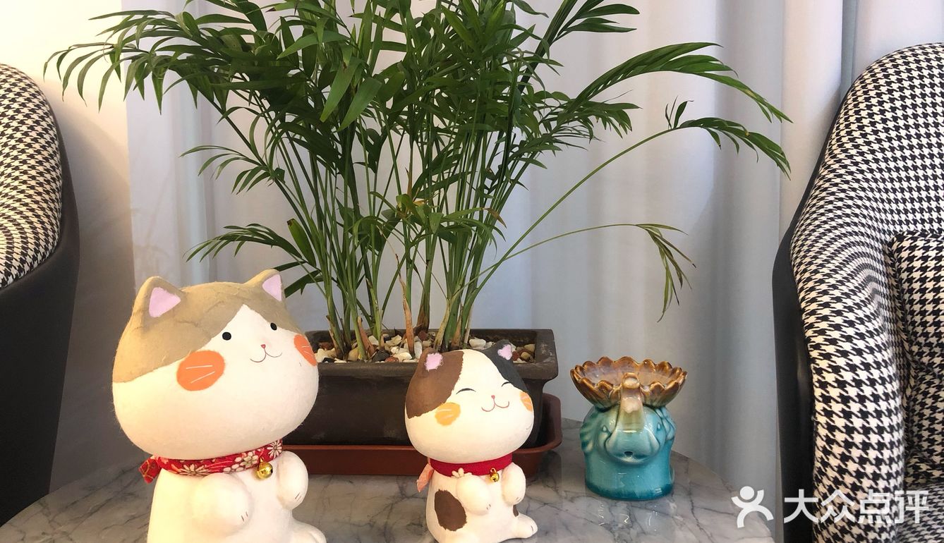 ☘️ZHOULIU周六☘️