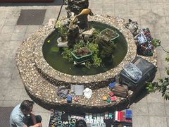 -云南古玩城(护国路店)