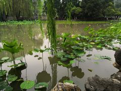 -莲湖公园