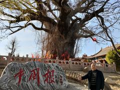 -大槐树寻根祭祖园