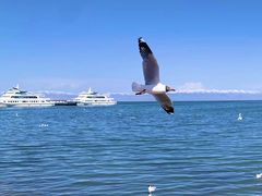 -青海湖二郎剑景区