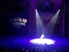 -珠海横琴长隆《卡卡虎奇遇记》