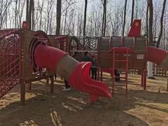 -合肥滨湖国家森林公园