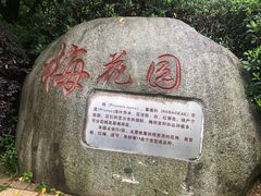 -天回镇何氏豆腐(总店)