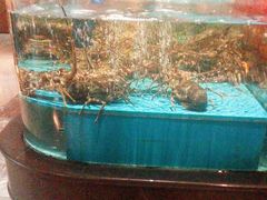 -阿伟海鲜楼·福建菜(延寿店)