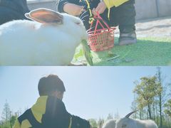 -前小桔亲子创意农场·草莓采摘·露营烧烤