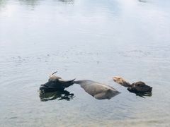 -杭州双溪漂流景区