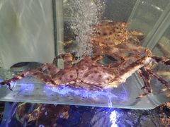 -盒马鲜生(悠方店)