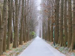 -上海滨江森林公园