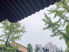 -西安大兴善寺