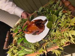 -蝶舍·MAISON PAPILLON