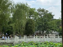 -莲湖公园