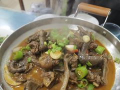 -龙小海荆沙鸽子店(瑞安街店)