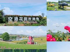 -空港花田景区