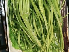 -爱膳菌锅锅(阳南店)