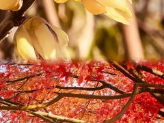 -丰台花园