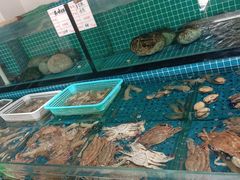 -天天鱼港