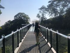 -黄埔油麻山森林公园
