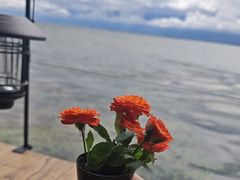 -六阅·福十 FORTEN 海景咖啡西餐厅(双廊古镇店)