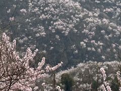 -北京鹫峰国家森林公园