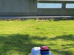 -东钱湖旅游度假区