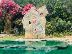 -白帝城·瞿塘峡景区