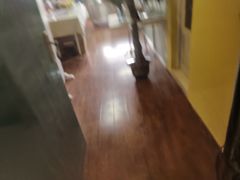 -蜜肆动物奶油蛋糕·个性定制·下午茶甜品