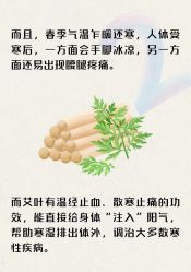 -雅曼妮spa美容养生