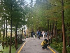 -云龙湖旅游景区