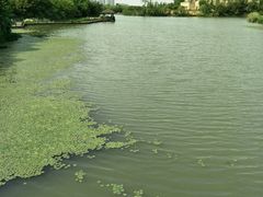 -艾溪湖湿地公园