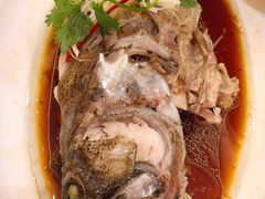 清蒸石斑鱼-新洪记·丽久饭店(铁西店)