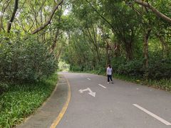 -深圳国际园林花卉博览园