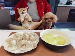 -东方名猫馆·英短金渐层布偶猫舍(环线广场1号楼店)