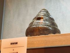 -呼和浩特博物馆