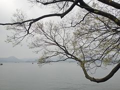 -柳浪闻莺公园