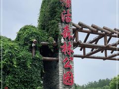 -塘沽森林公园