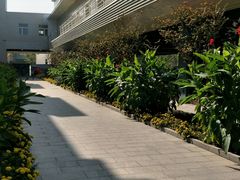 -南宫温泉水世界