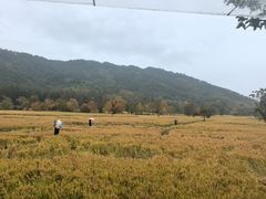 -塔川景区
