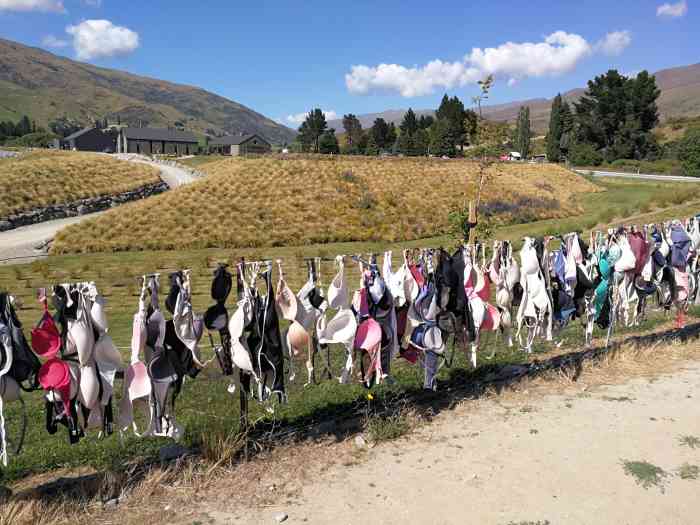 内衣墙-"皇冠公路上的一个景点.小小的栅栏,挂满了."-大众点评移动版