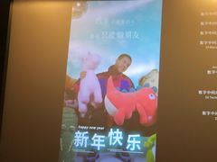 -武汉华夏国际影城(鲁广店)