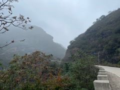 -白草畔自然风景区