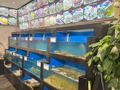 -华盛丰温州大排档(东三环南路店)