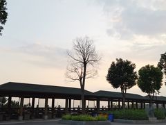 -仙岳公园