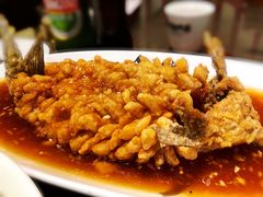 松鼠鱼-会仙楼饭庄(宽厚里店)