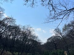 -句容茅山景区