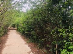 -三江森林温泉度假区