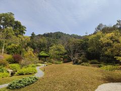 -云溪植物园