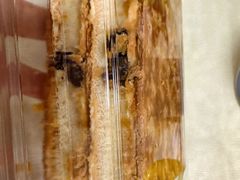 -六贤记(文三店)